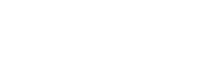 Schwitzke Project Logo